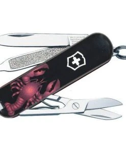 Victorinox Swiss Army Classic SD Black Lobster